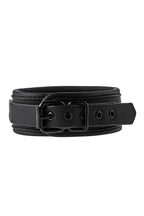 Dreamtoys Blaze Collar And Leash Black svart presentset