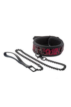 Dreamtoys Blaze Deluxe Collar & Leash röd presentset