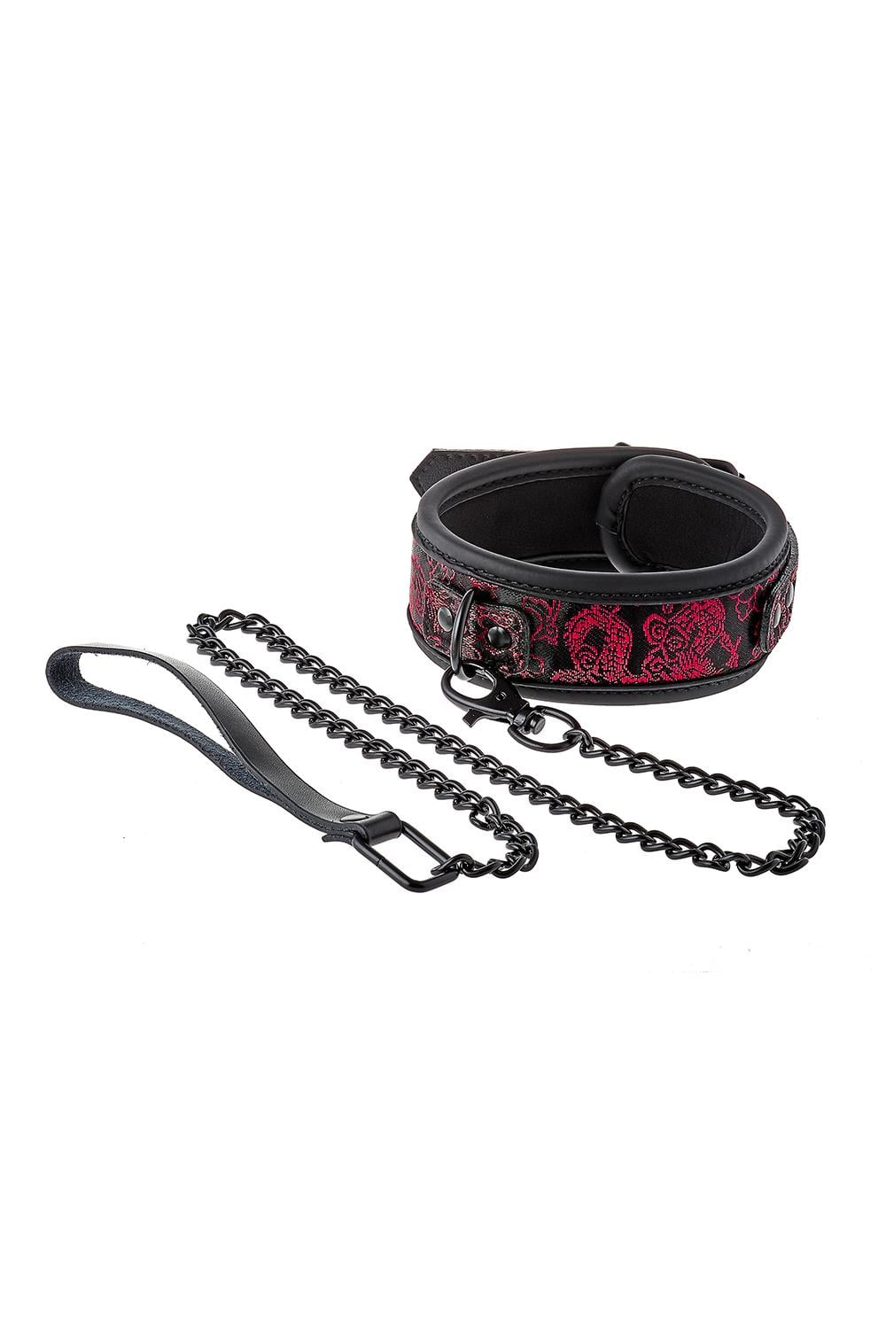 Dreamtoys Blaze Deluxe Collar & Leash röd presentset