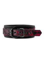 Dreamtoys Blaze Deluxe Collar & Leash röd presentset