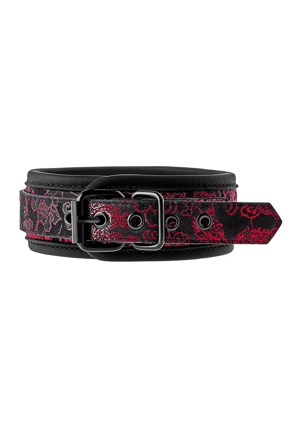 Dreamtoys Blaze Deluxe Collar & Leash röd presentset