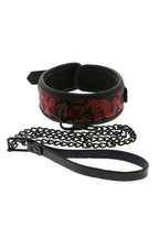 Dreamtoys Blaze Deluxe Collar & Leash röd presentset