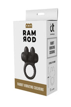 Vibrerande penisring med kaninstimulator från Dreamtoys Ramrod